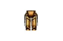 Bronze Pants +14